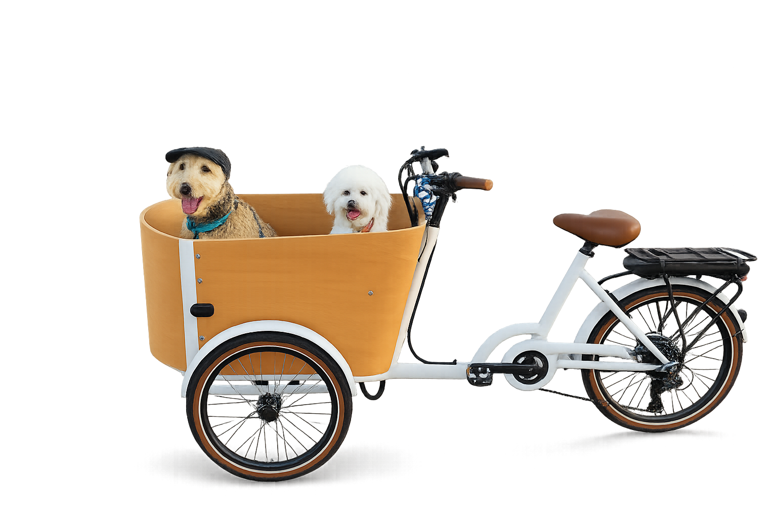 Three Wheel Cargo Bike